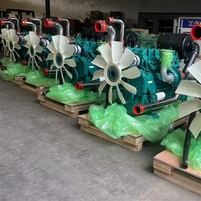 Weichai WP10B240E201 dieselmotor